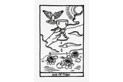DMC - Tarot Cards - Ace Of Cups Embroidery Chart (downloadable PDF)