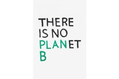 DMC - There Is No Planet B Embroidery Chart (downloadable PDF)