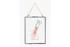 DMC - Melanie Johnson - The Squid Embroidery Chart (downloadable PDF)