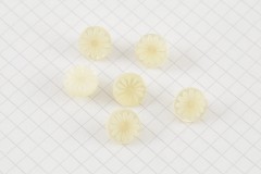 Round Petal Effect Buttons, Pearlescent Cream, 11.25mm (pack of 6)