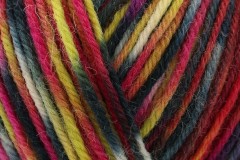 West Yorkshire Spinners Colour Lab Sock DK - Punk (1203) - 150g
