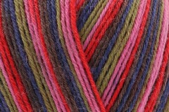 West Yorkshire Spinners Signature 4 Ply - Zandra Rhodes - Forest Stripes (1026) - 100g