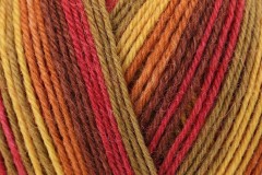 West Yorkshire Spinners Signature 4 Ply - Autumn Leaves (885) - 100g