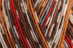 West Yorkshire Spinners Signature 4 Ply - Robin (941) - 100g